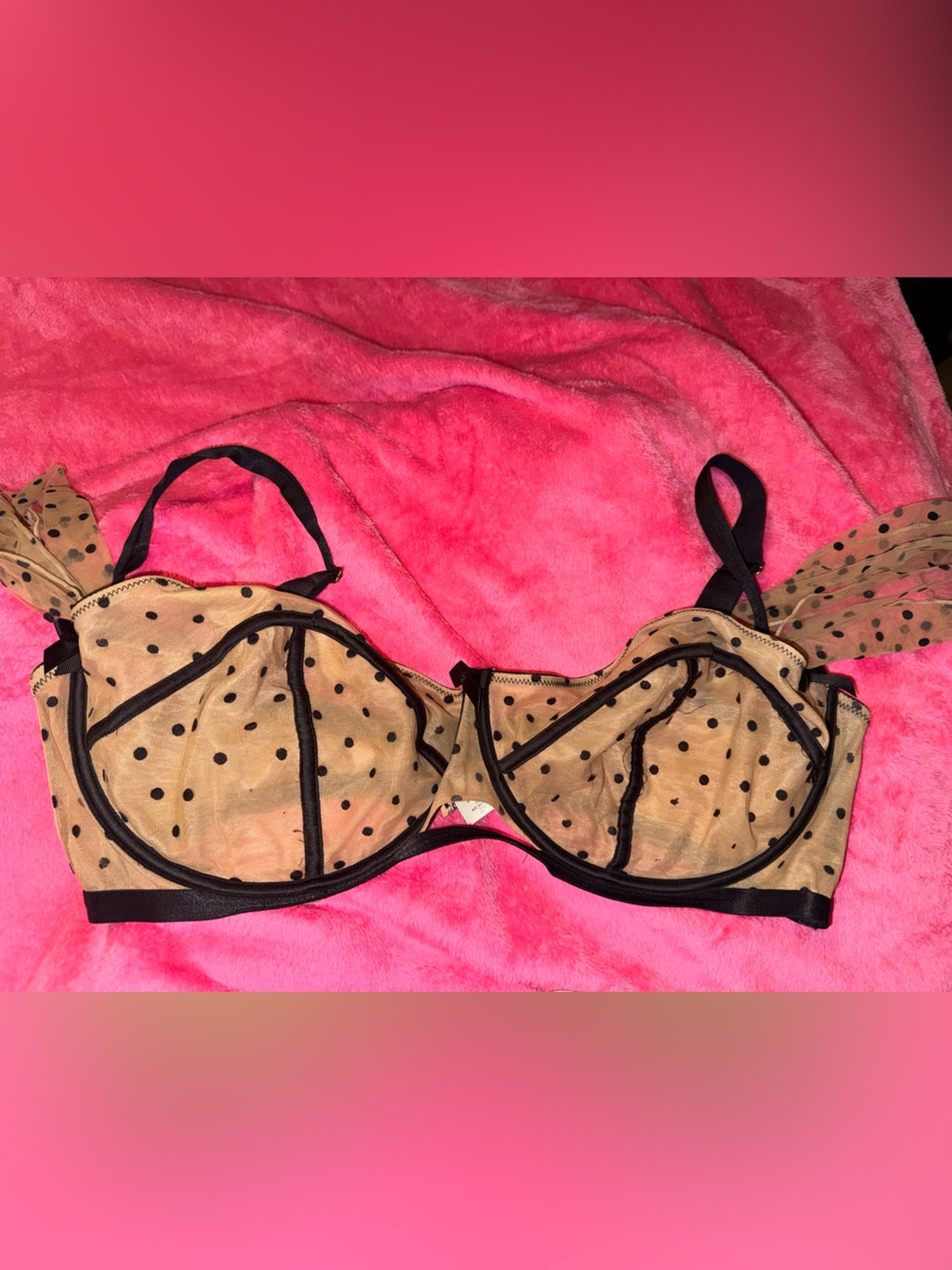 Sheer Polka Dot Underwire Bra in Nude and Black